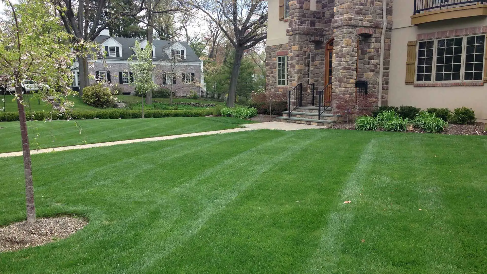 Green and lush front lawn around Westfield and Cranford, NJ