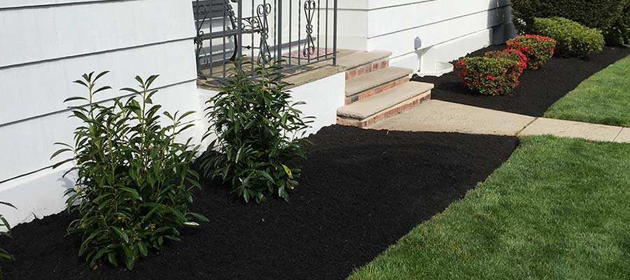 Home in Westfield, NJ with new mulching and yard debris removal.