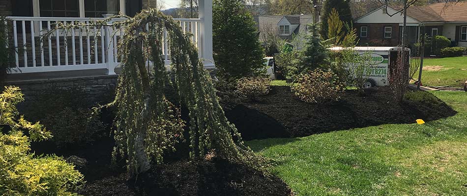 Landscaping in the process of being installed for a homeowner around Westfield and Cranford, NJ