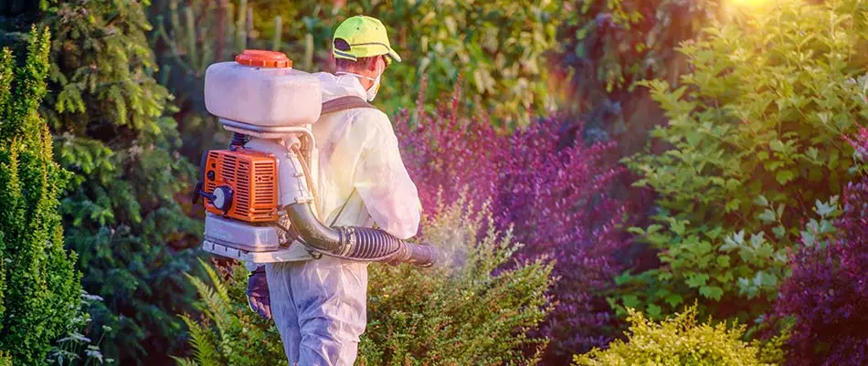 Spraying for mosquitoes at a property around Westfield and Cranford, NJ