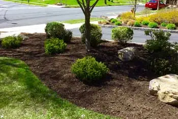 Landscaping with new mulch and shrubs in front of a home around Westfield and Cranford, NJ