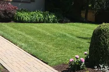 Beautiful lawn at a home in Westfield and Cranford, NJ that is regularly treated and fertilized by Greenscapes Landscape Mangement