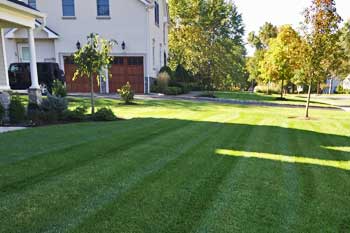 Westfield, NJ home with a professionally mowed and maintained lawn.