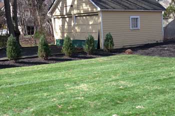 After a yard cleanup in the backyard of a home in Scotch Plains, NJ.